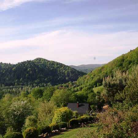Lesny Dworek 1 Wolkowyja Dış mekan fotoğraf