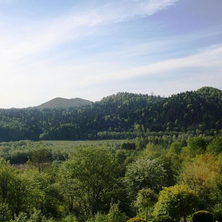 Lesny Dworek 1 Wolkowyja Dış mekan fotoğraf