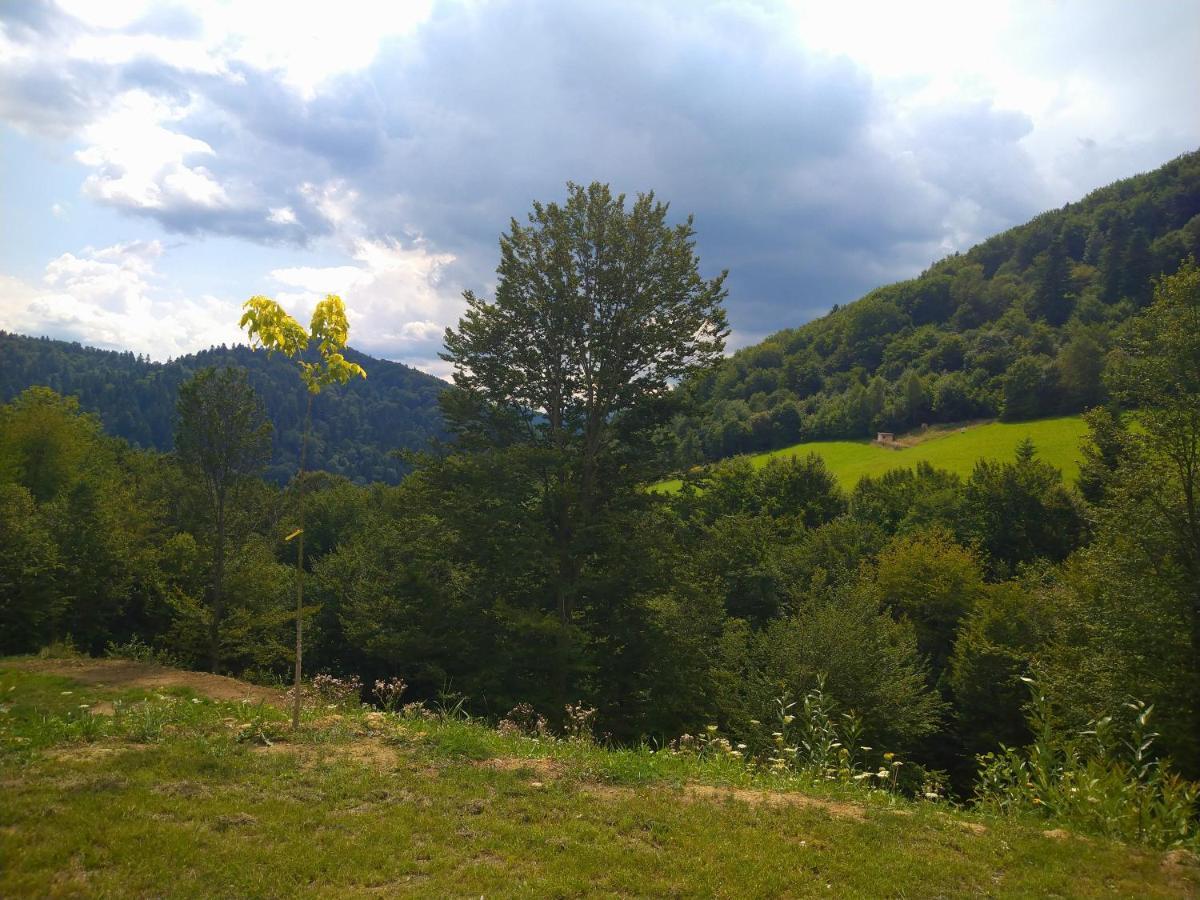 Lesny Dworek 1 Wolkowyja Dış mekan fotoğraf