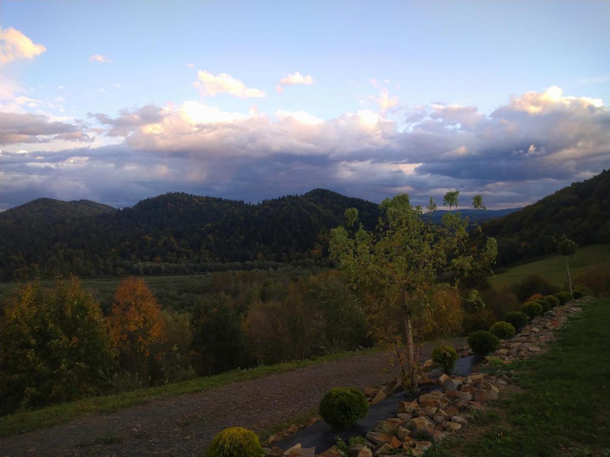 Lesny Dworek 1 Wolkowyja Dış mekan fotoğraf