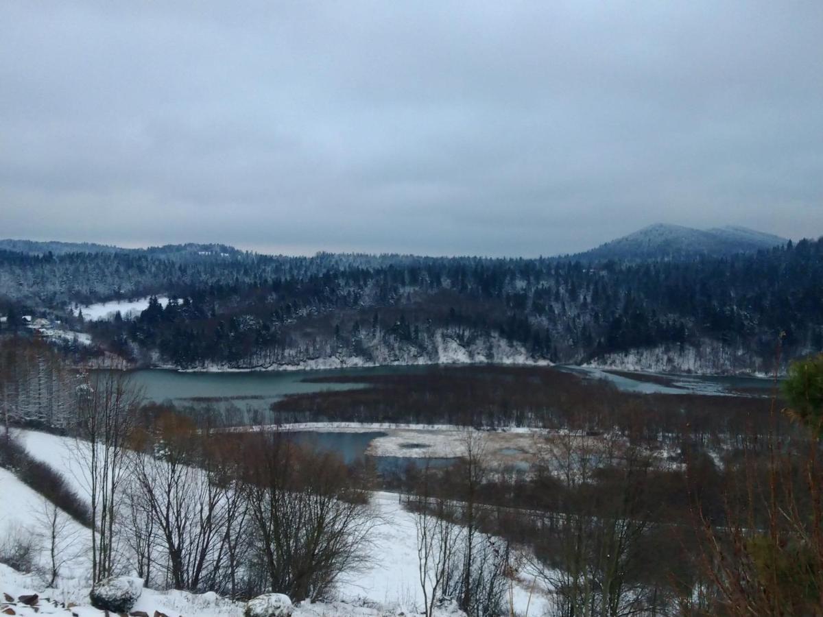 Lesny Dworek 1 Wolkowyja Dış mekan fotoğraf