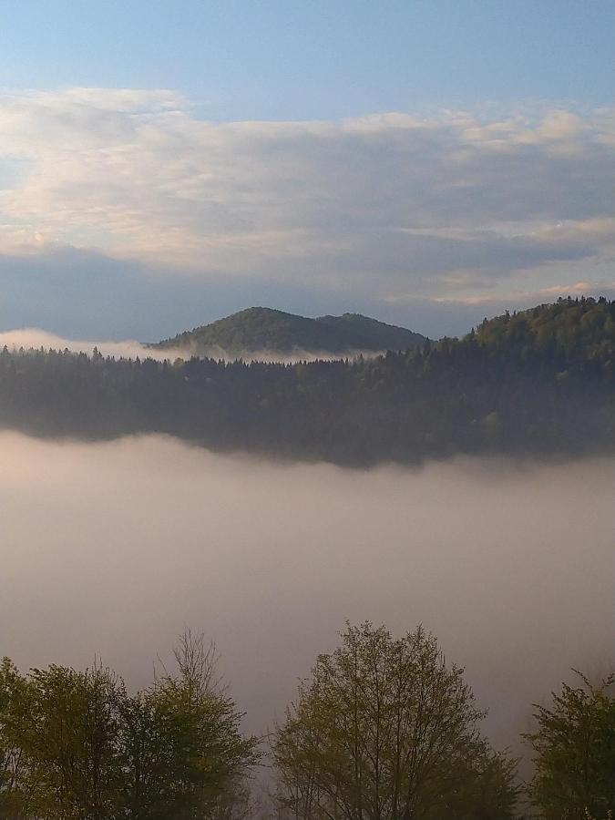 Lesny Dworek 1 Wolkowyja Dış mekan fotoğraf