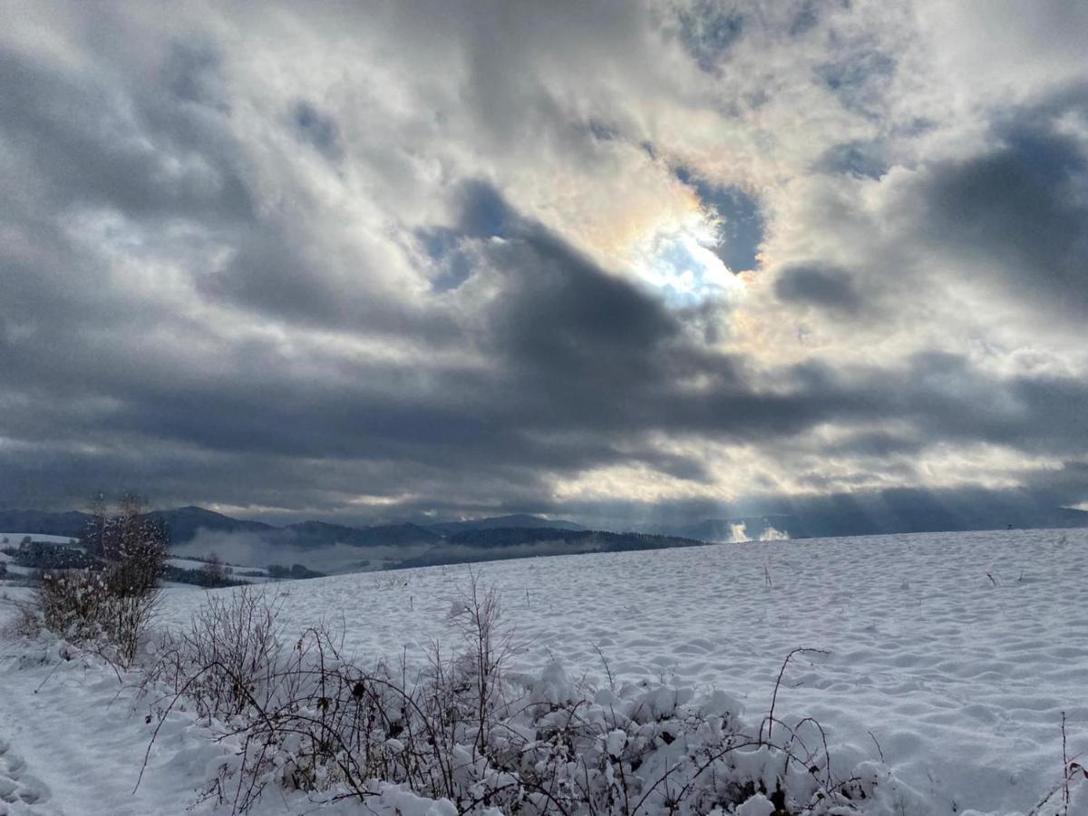 Lesny Dworek 1 Wolkowyja Dış mekan fotoğraf