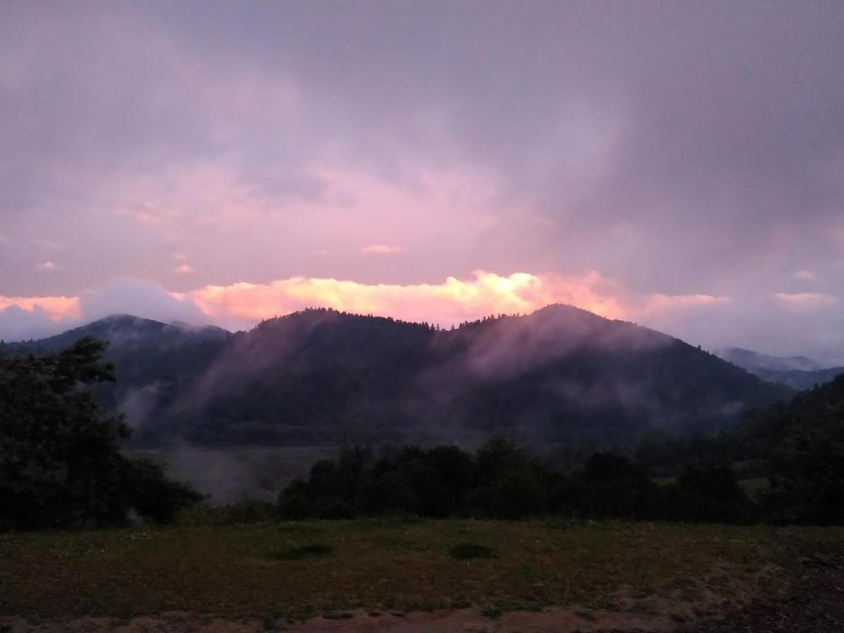 Lesny Dworek 1 Wolkowyja Dış mekan fotoğraf