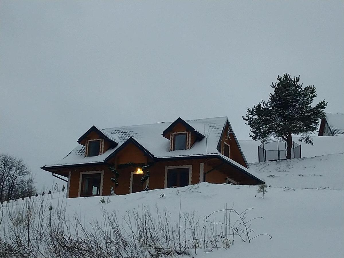 Lesny Dworek 1 Wolkowyja Dış mekan fotoğraf