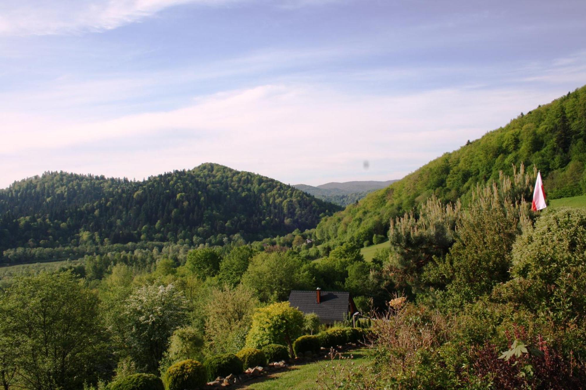 Lesny Dworek 1 Wolkowyja Dış mekan fotoğraf