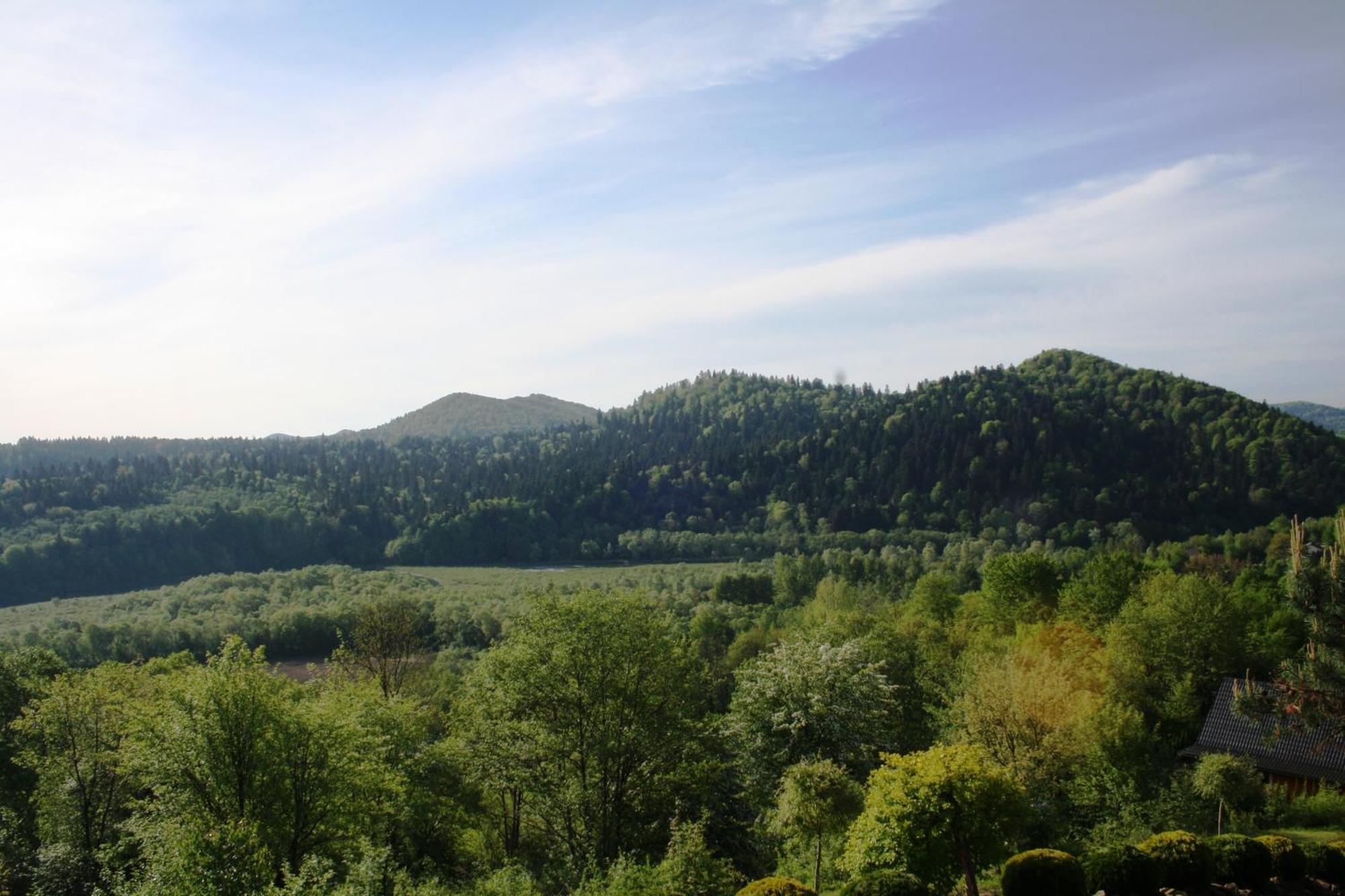 Lesny Dworek 1 Wolkowyja Dış mekan fotoğraf