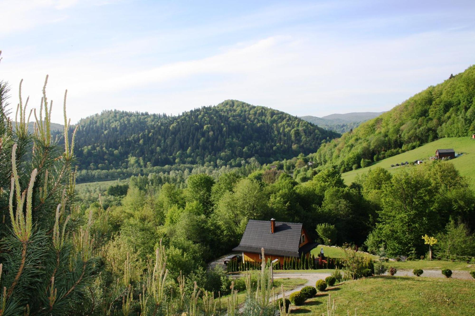 Lesny Dworek 1 Wolkowyja Dış mekan fotoğraf