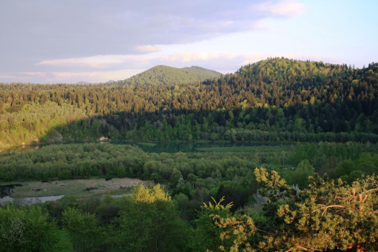 Lesny Dworek 1 Wolkowyja Dış mekan fotoğraf